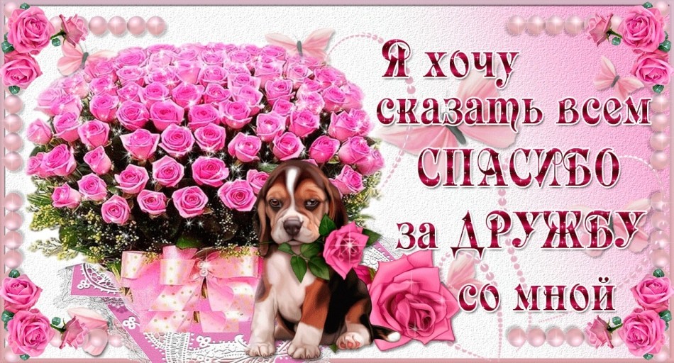 Кращі, красиві слова подяки за дружбу подрузі, другу, чоловікові, хлопцеві, друзям у прозі: текст. Як красиво сказати спасибі за дружбу подрузі, другу, хлопцю, чоловікові, друзям своїми словами? Листівки і пости &ndash; &laquo;Дякую за дружбу&raquo;: приклади у прозі