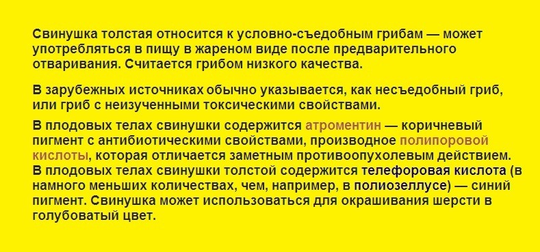 Гриби свинушки &mdash; їстівні і неїстівні: різновиди, коли з'являються, опис, фото. Гриби свинушки їстівні: користь і шкода, як виглядають, де ростуть? Як відрізнити тонку свинушку і товсту: порівняння, подібності та відмінності