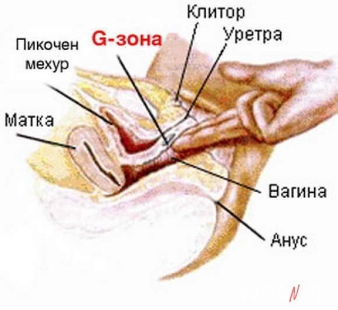 Як правильно зробити сквірт дівчині, жінці: техніка, поради для жінок і чоловіків. Як отримати, випробувати сквірт, як навчитися робити собі самій? Сквіртінг: як правильно довести дівчину, жінку, дружину до сквирта, як досягти досконалості: секрети