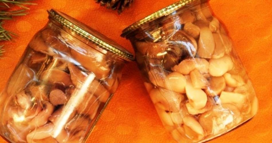 Мариновані гриби маслюки на зиму хрусткі, з часником, оцтом, в томаті з цибулею, насінням гірчиці, по-корейськи, зі стерилізацією і без стерилізації, холодним способом у банках: простий, смачний покроковий рецепт. Солянка з маслюками на зиму: смачний ре
