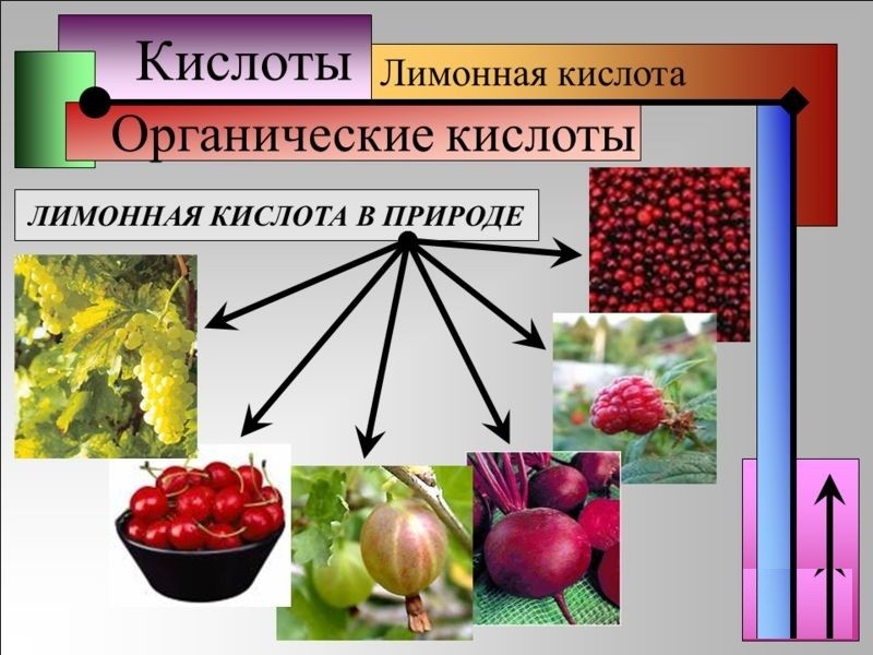 Як зробити проносне в домашніх умовах від запору, для схуднення, для дітей, при вагітності і ГВ: народні рецепти і засоби. Як приготувати проносне з сухофруктів і сени, трав, чорносливу, соди, кефіру, мінеральної води, сольове: рецепти