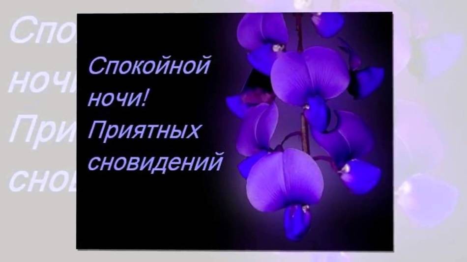 Гарні побажання спокійної ночі коханій дівчині, жінці, дружині своїми словами. Як оригінально, романтично, еротично побажати дівчині, яка подобається, спокійної ночі в прозі, віршиках, на різних мовах світу?