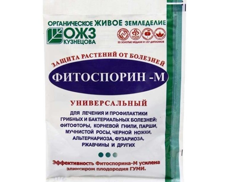 Як правильно поливати кімнатну орхідею під час цвітіння, взимку, влітку, після покупки, пересадки, в горщику в домашніх умовах бурштинової кислотою, часниковою водою, добривами і як часто? Як часто поливати орхідеї Фаленопсис в домашніх умовах?