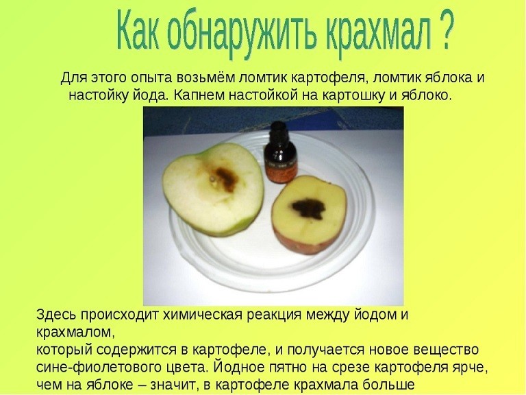 Продукти, що містять крохмаль: список. Досліджуємо продукти на вміст крохмалю за допомогою домашнього досвіду: опис