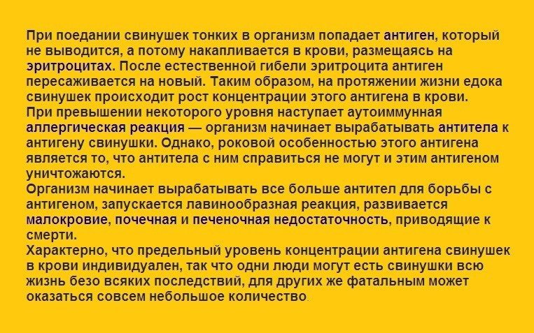 Гриби свинушки &mdash; їстівні і неїстівні: різновиди, коли з'являються, опис, фото. Гриби свинушки їстівні: користь і шкода, як виглядають, де ростуть? Як відрізнити тонку свинушку і товсту: порівняння, подібності та відмінності