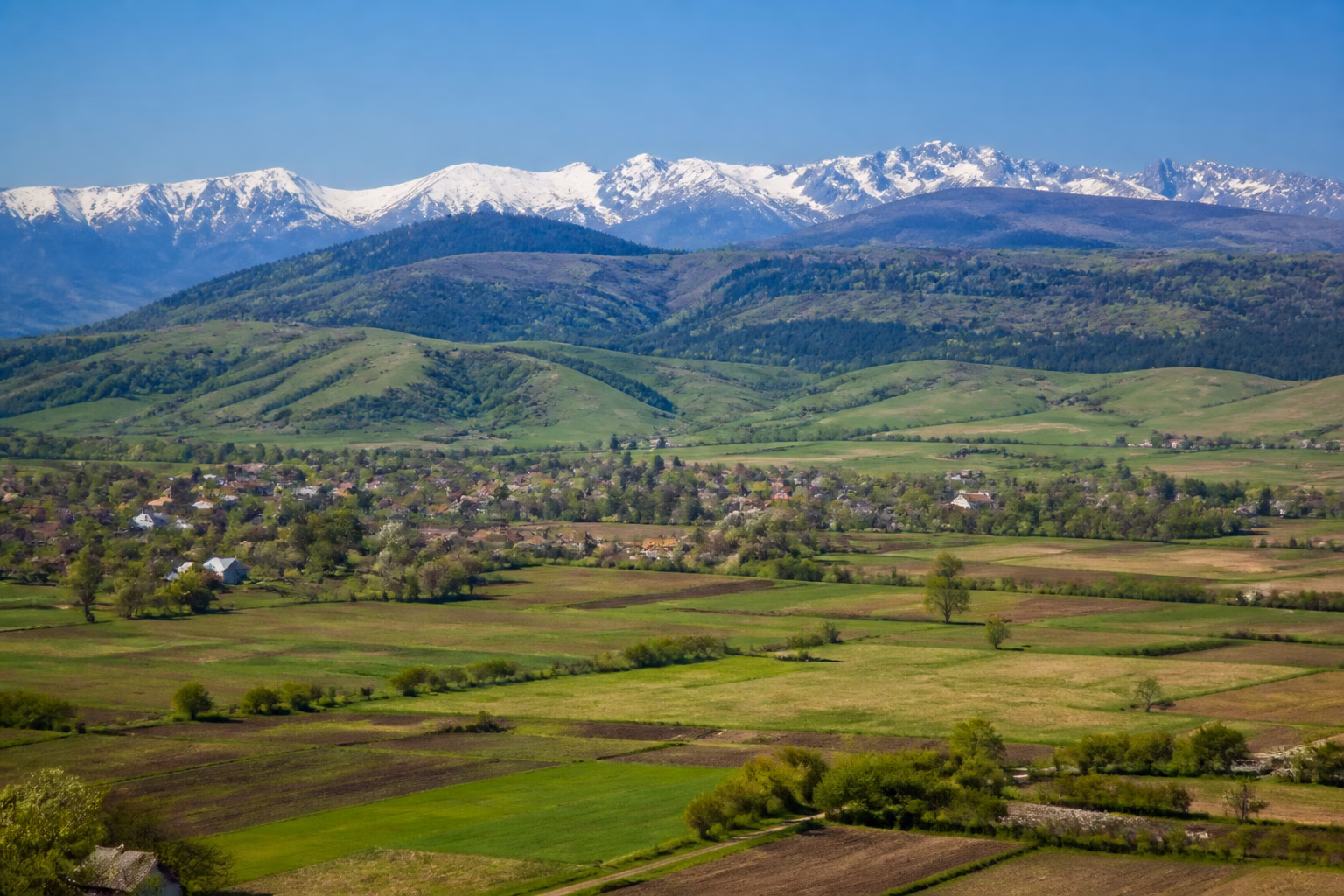 Панорама з рівниною, височинами та горами, що ілюструє відмінності форм рельєфу