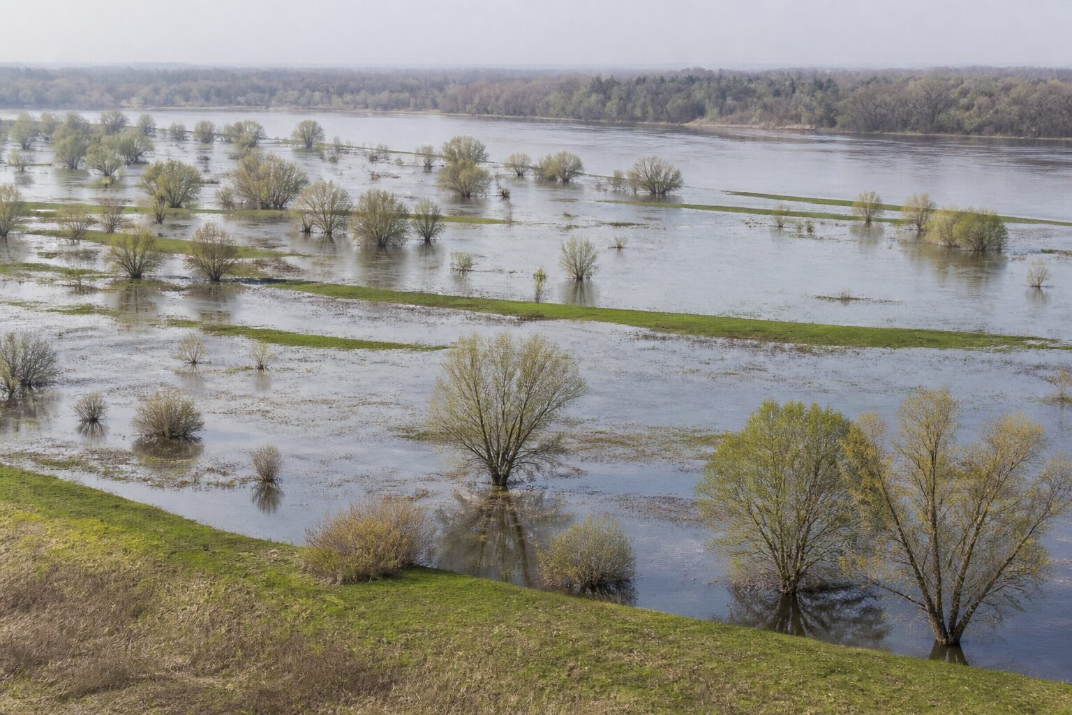 Заплава річки під час весняного розливу