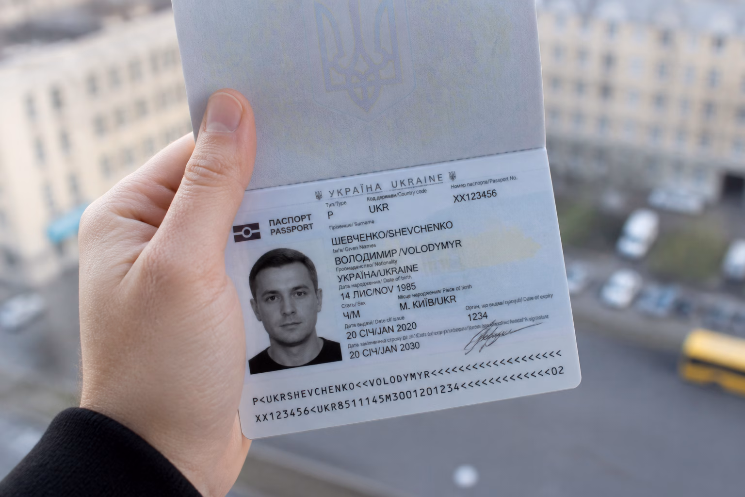 Український паспорт з ім'ям Володимир