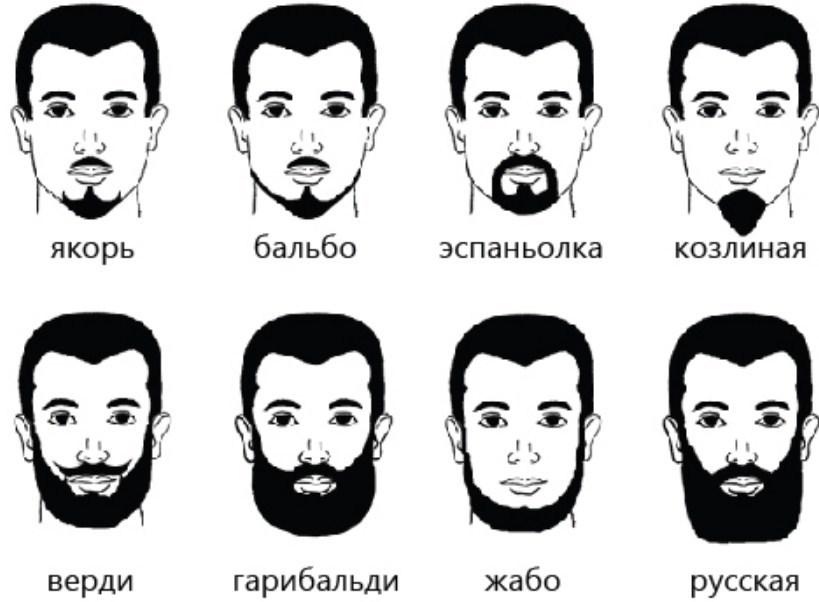 Форма бороди за типом обличчя, різновиди бороди для різних типів обличчя. Правила догляду за бородою