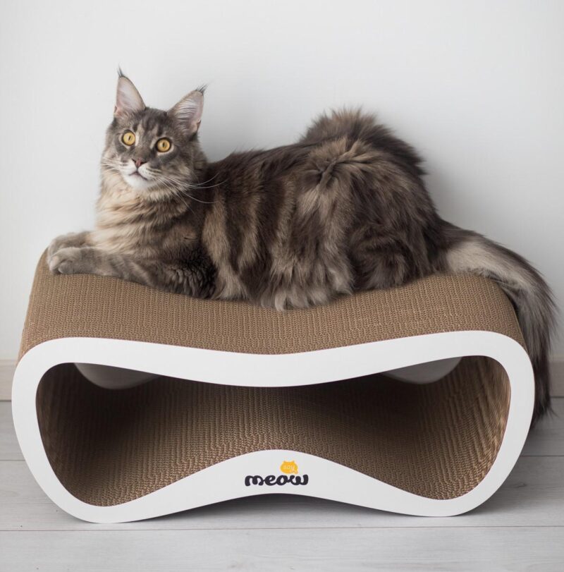 Когтеточка для кота